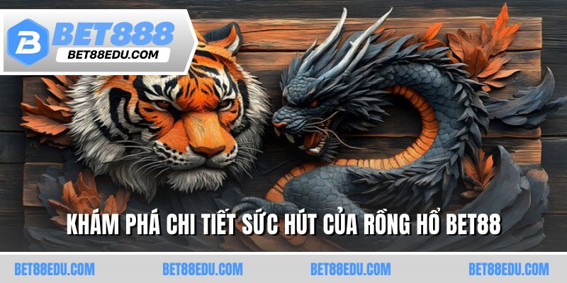 Khám phá chi tiết sức hút của rồng hổ BET88