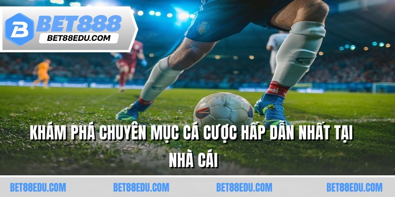 Khám phá chuyên mục cá cược hấp dẫn nhất tại nhà cái