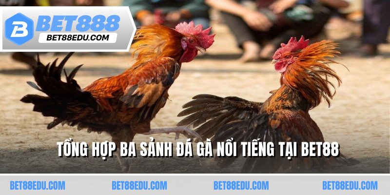 Tổng hợp ba sảnh đá gà nổi tiếng tại BET88